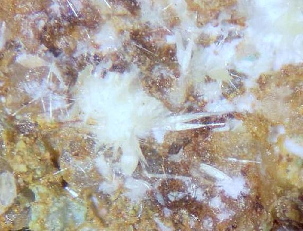 Rabbittite