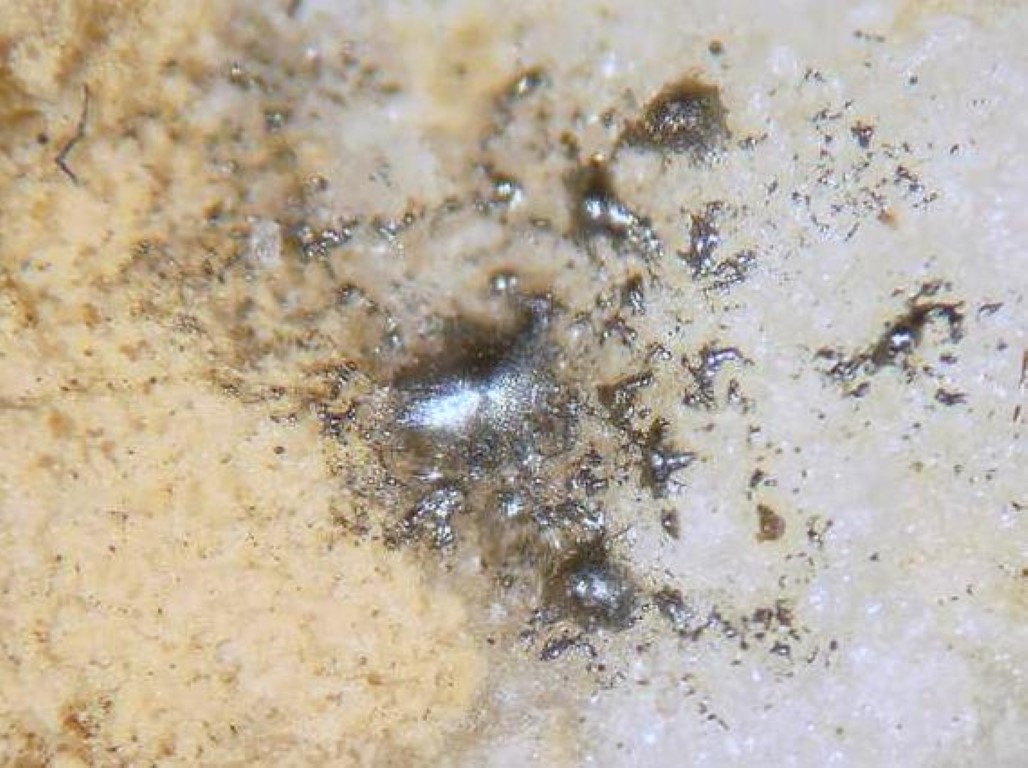 Goldfieldite