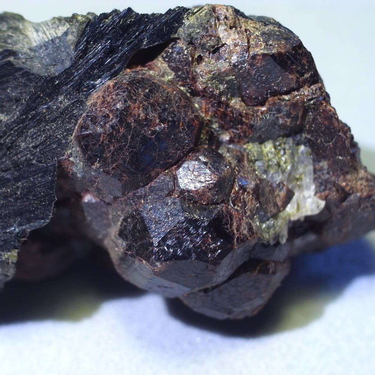 Ferro-pargasite & Andradite