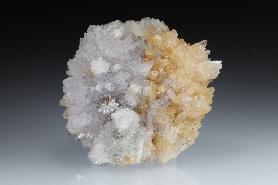 Creedite