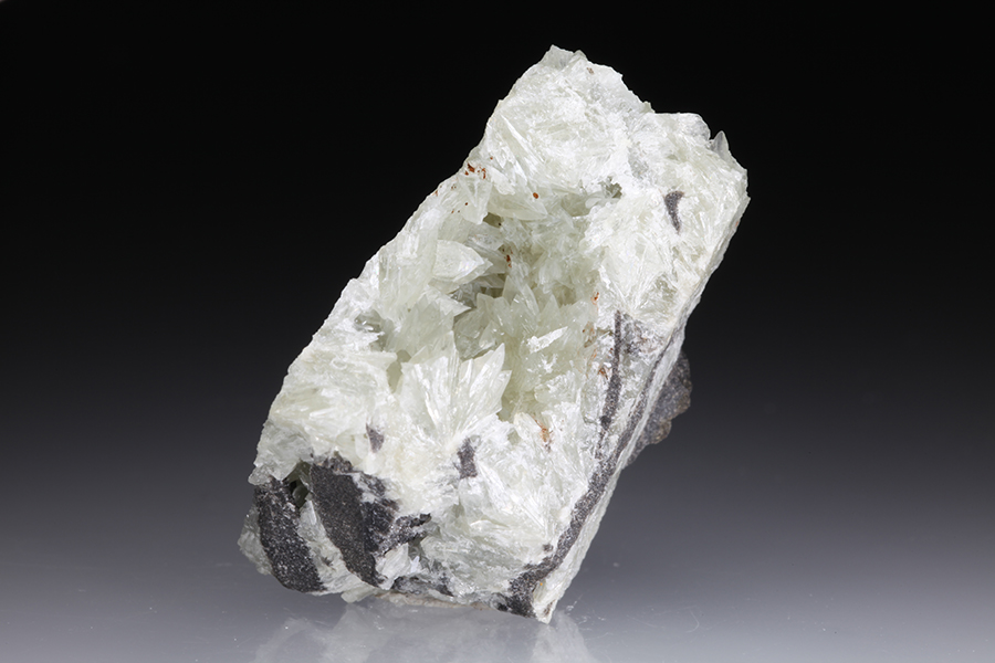Collinsite