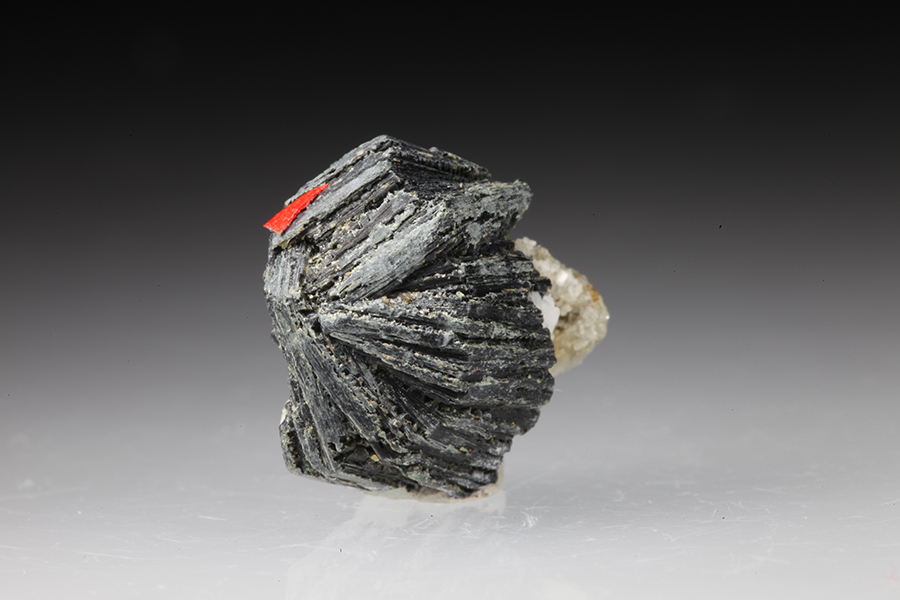 Monazite-(Ce) Clinochlore Var Ripidolite