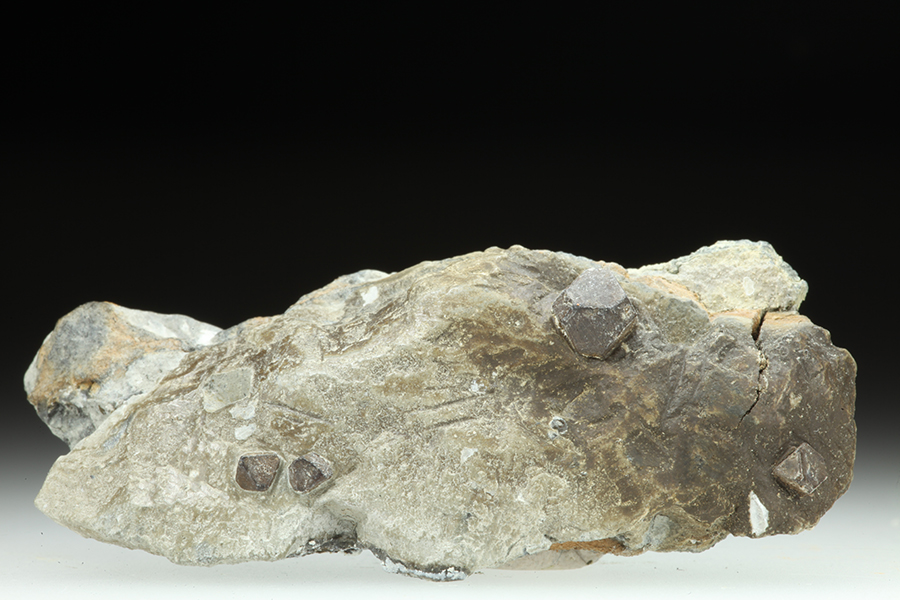 Hauerite