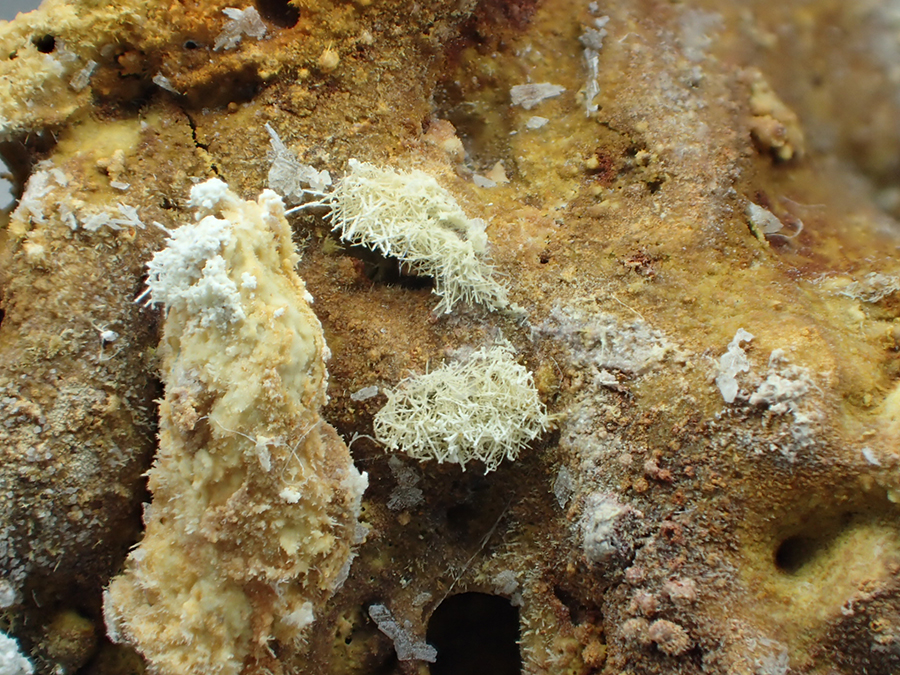 Goslarite