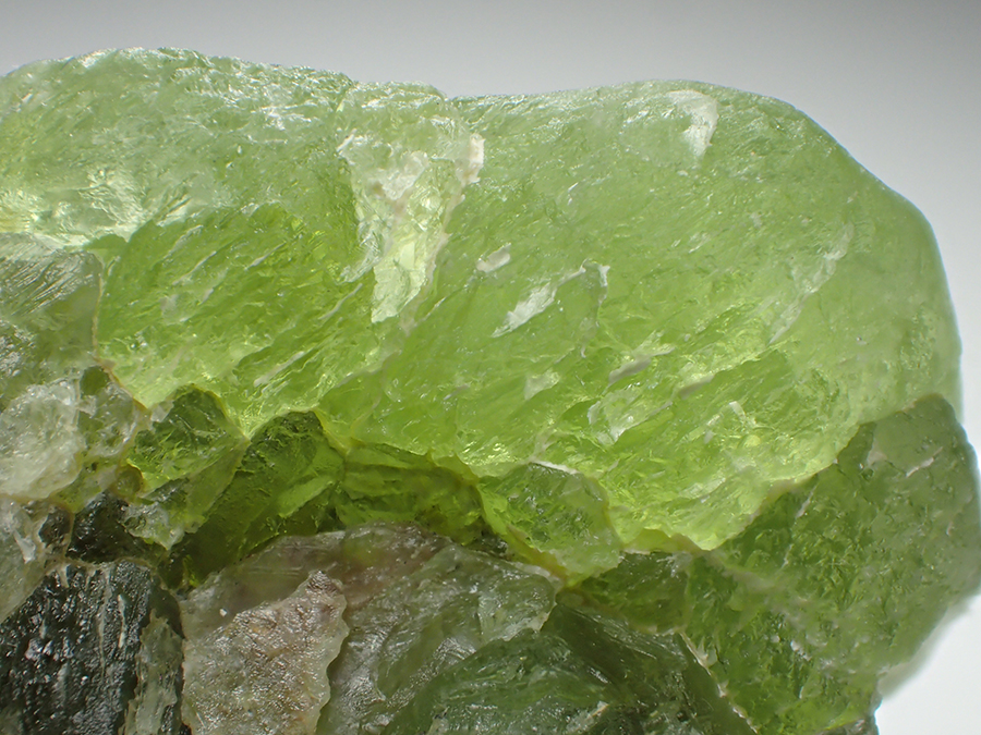 Forsterite