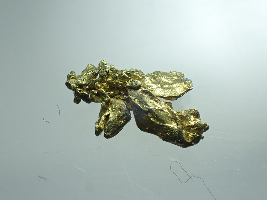 Gold
