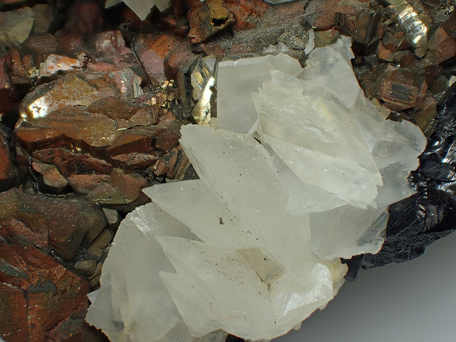 Chalcopyrite & Calcite