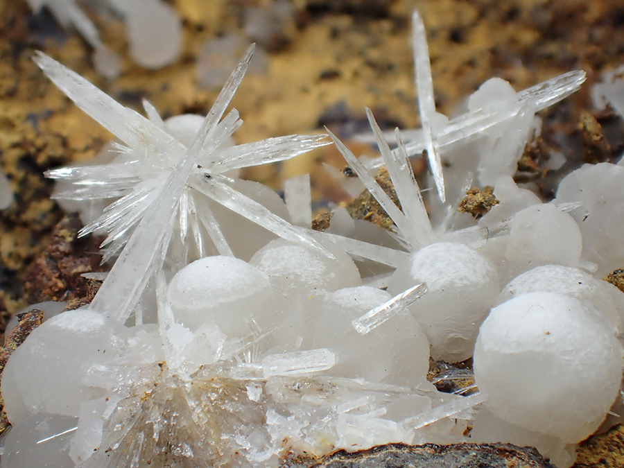 Aragonite & Calcite