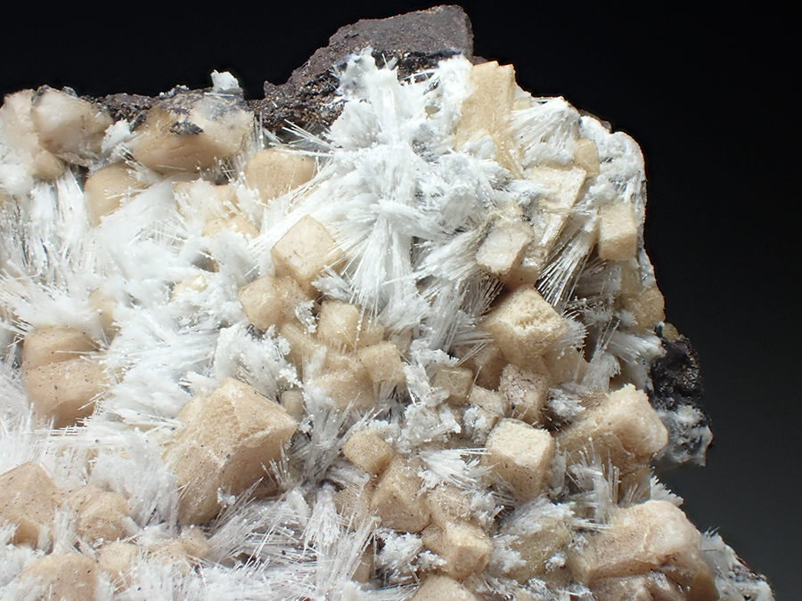 Poldervaartite & Bultfonteinite