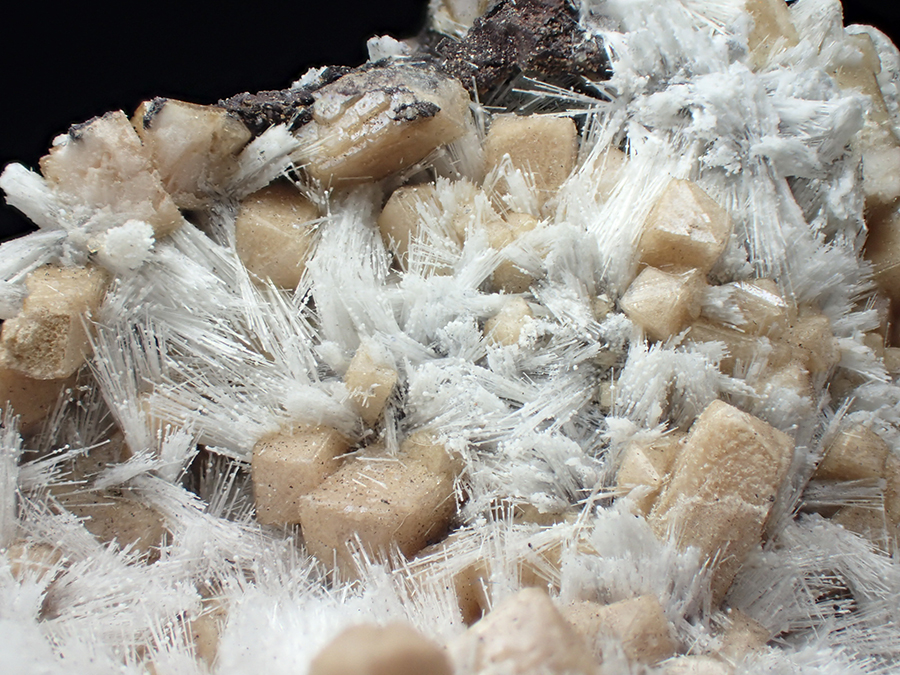 Poldervaartite & Bultfonteinite