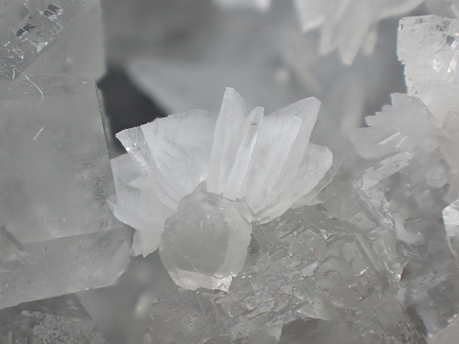 Fluorite & Anhydrite