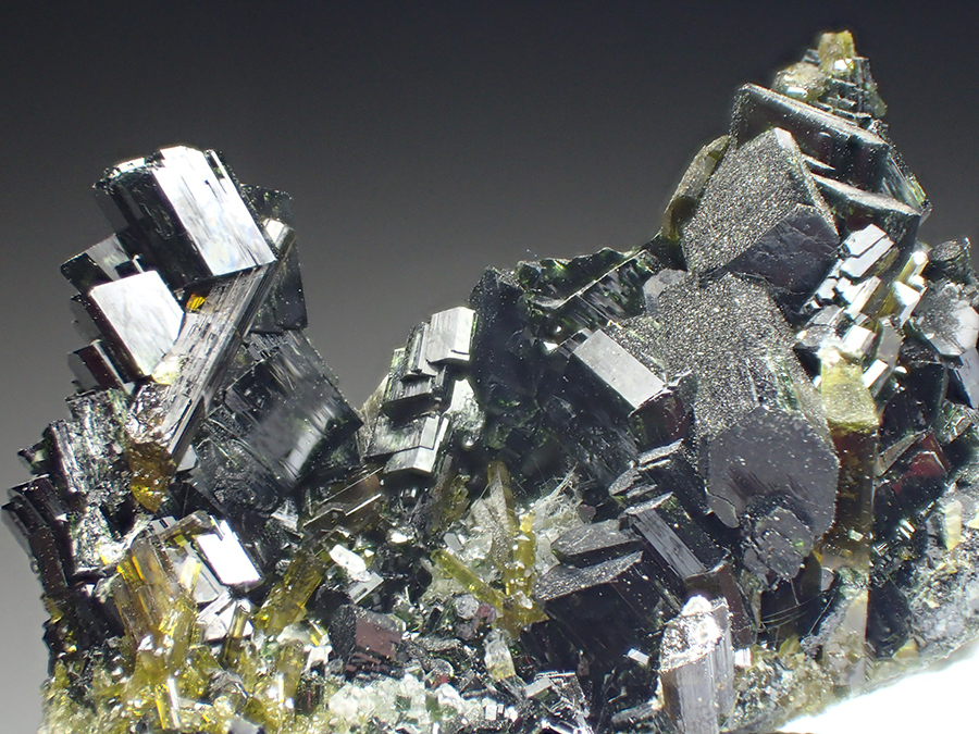 Augite & Epidote