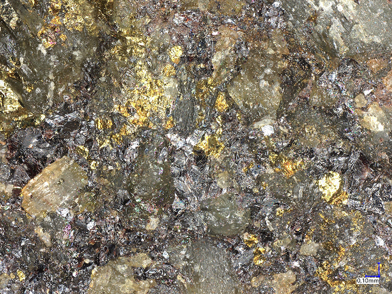 Paracostibite & Chalcopyrite