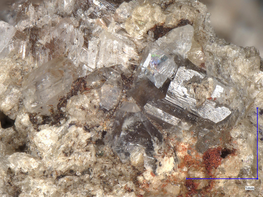 Berborite