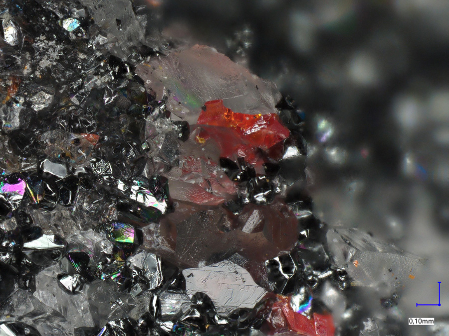 Asisite