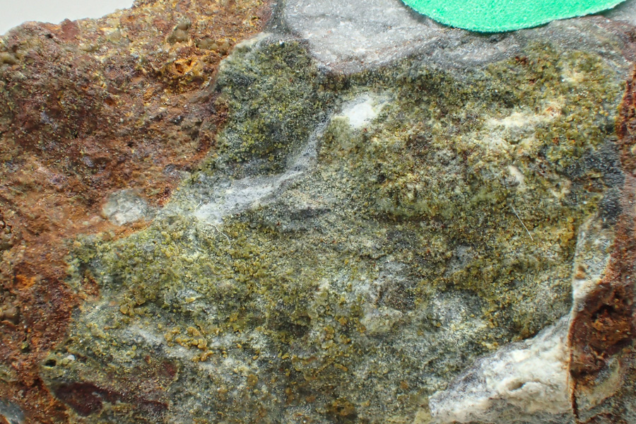 Fluorowardite
