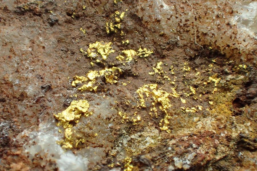 Gold