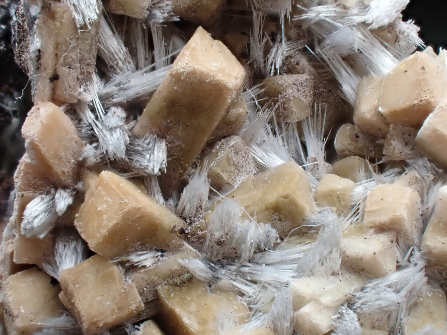 Bultfonteinite & Poldervaartite