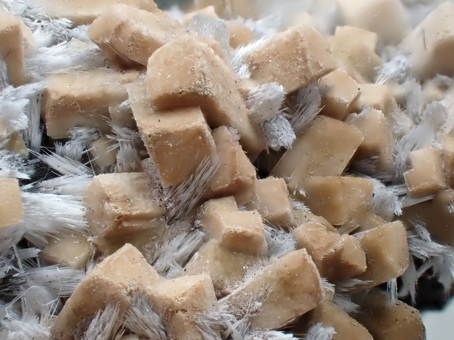 Bultfonteinite & Poldervaartite
