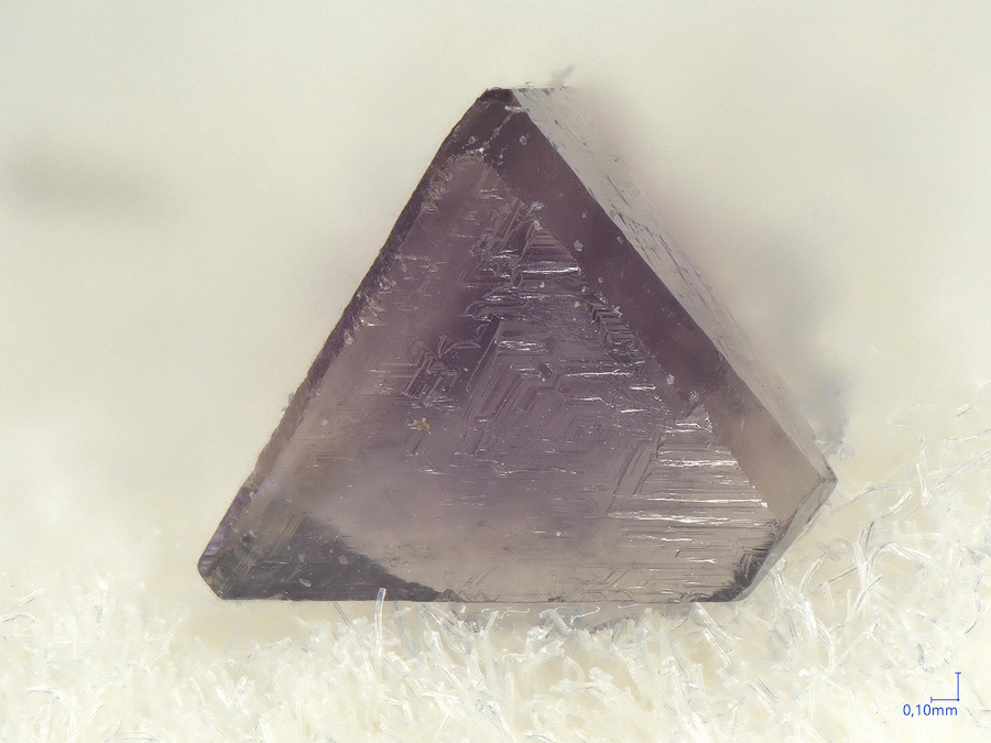 Chambersite
