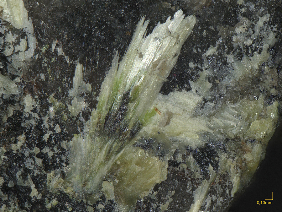 Olsacherite & Chalcomenite