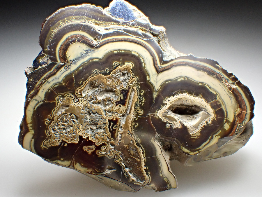 Schalenblende