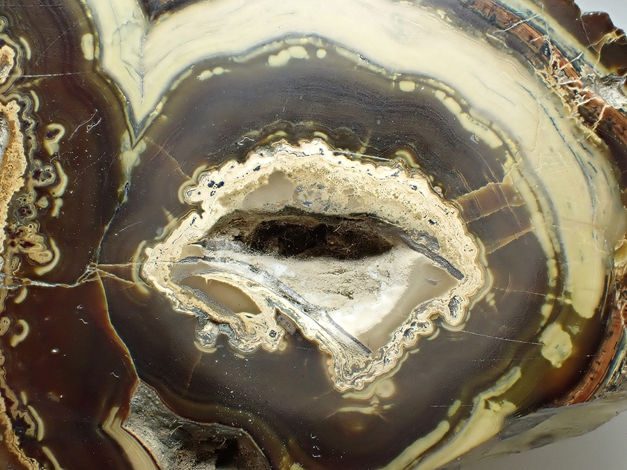 Schalenblende