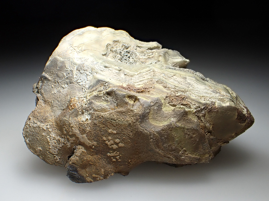Schalenblende