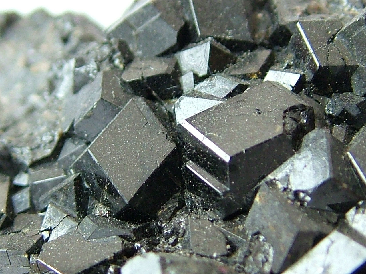 Garnet (melanite)