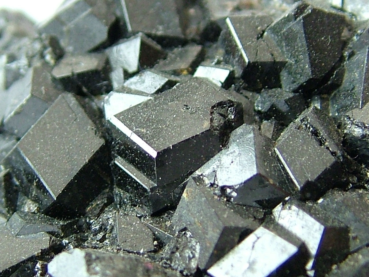 Garnet (melanite)