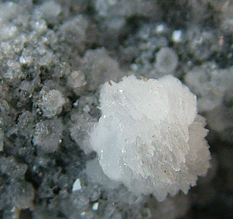 Apophyllite & Gyrolite On Chabazite