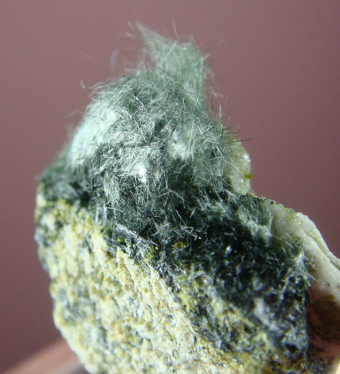Byssolite With Epidote