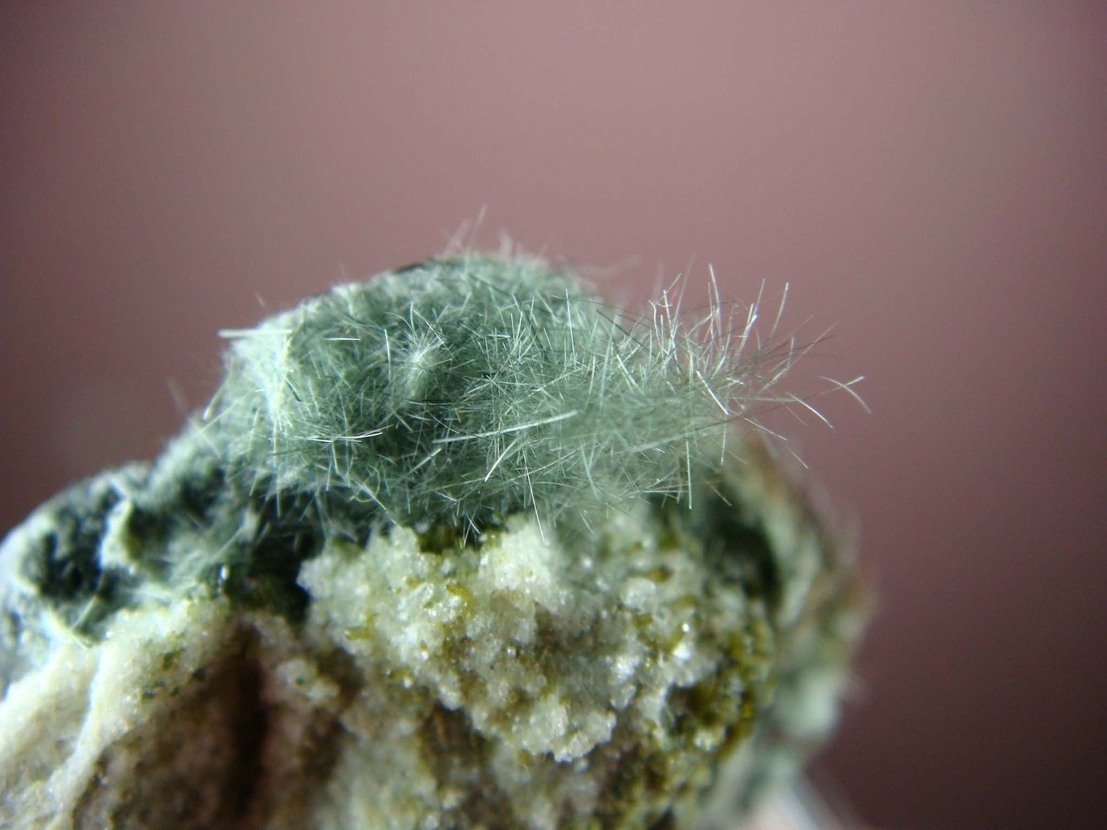 Byssolite With Epidote