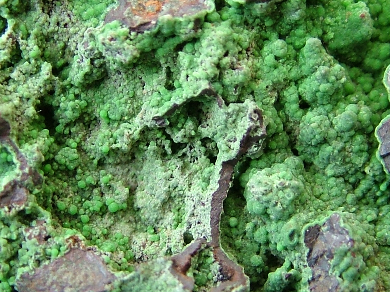 Conichalcite