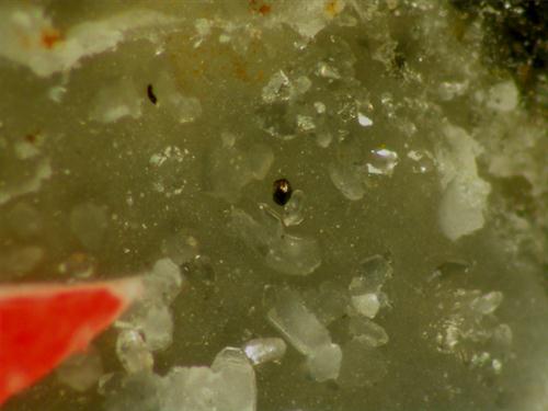 Paseroite