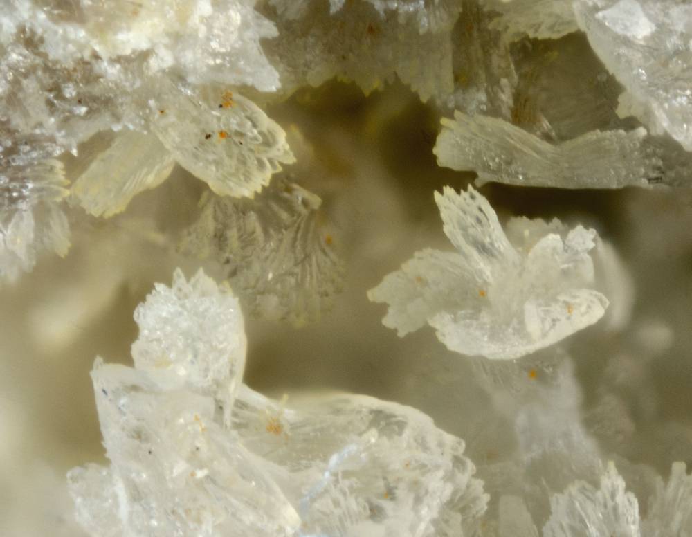Jarlite & Fluorite