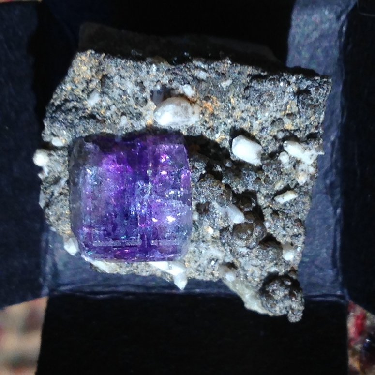 Fluorapatite