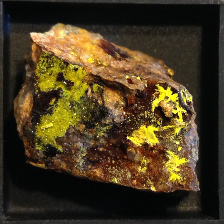 Meta-ankoleite Sabugalite & Phosphuranylite