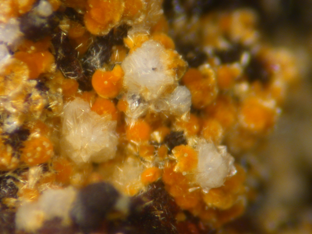 Matulaite Cacoxenite & Beraunite