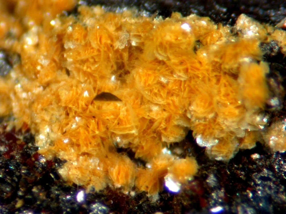 Phyllotungstite