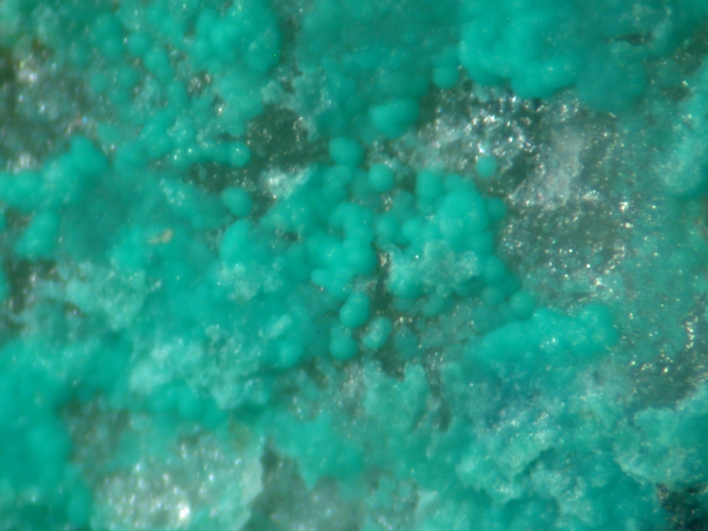 Rajite