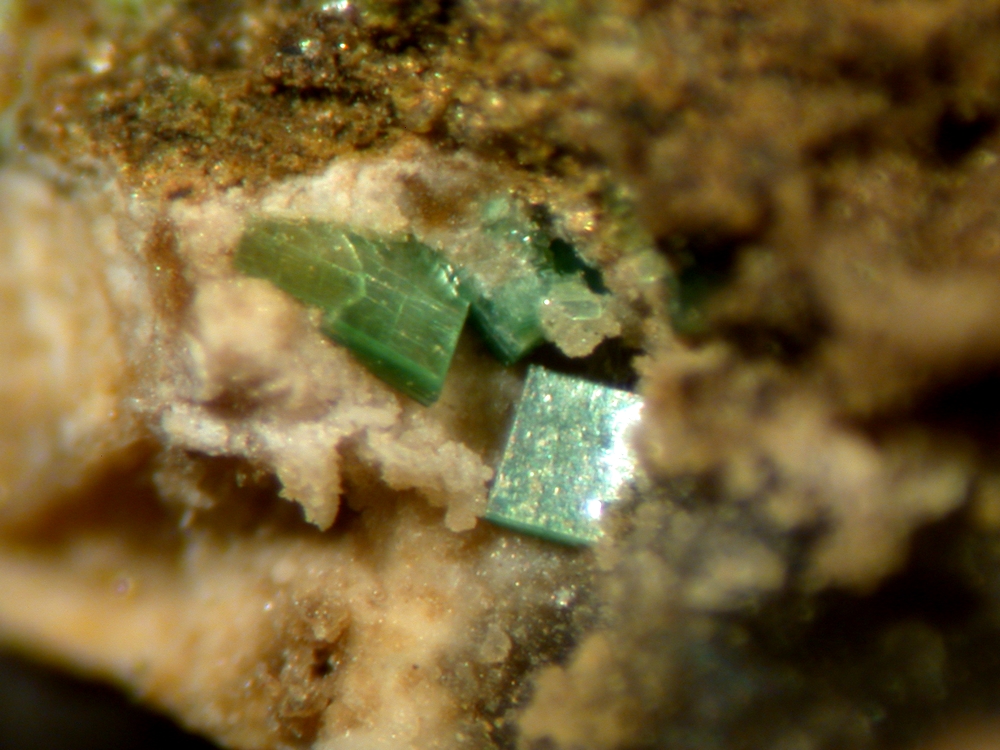 Sincosite
