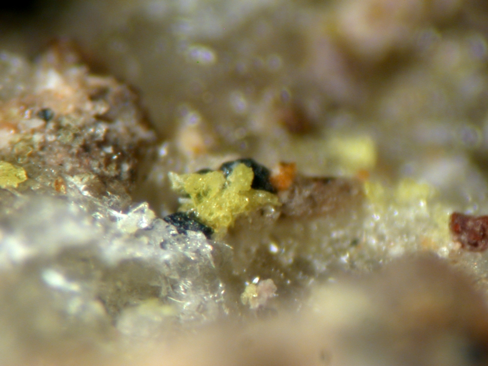 Lautarite