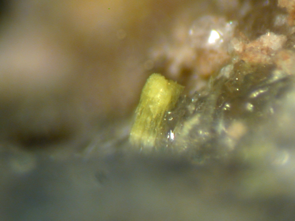 Lautarite