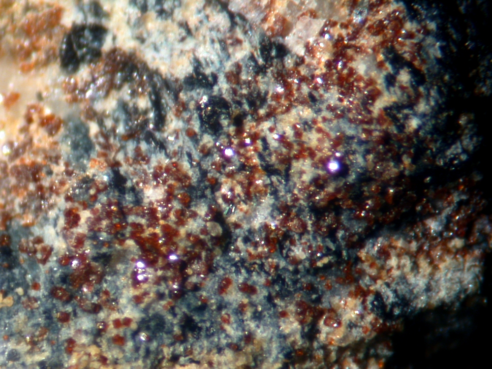 Aspedamite