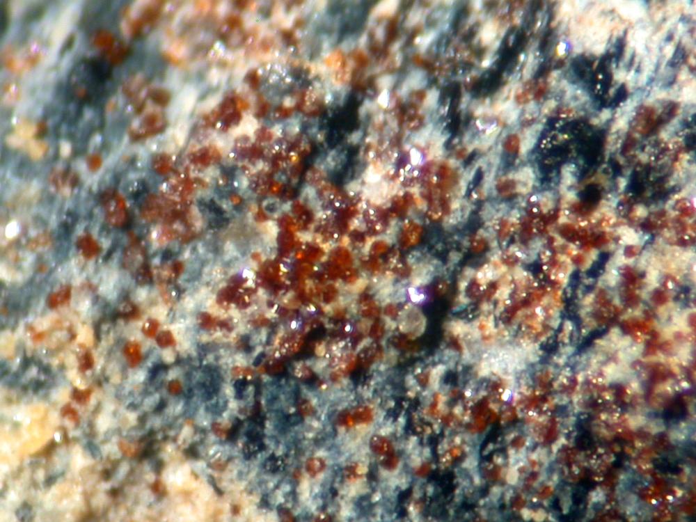 Aspedamite