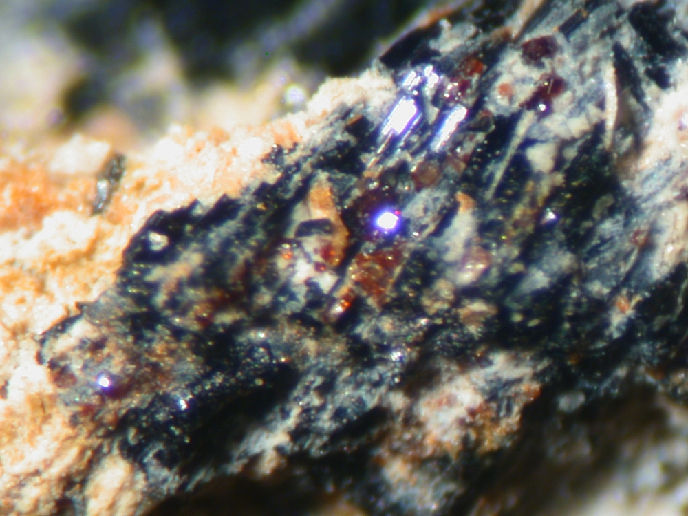 Aspedamite