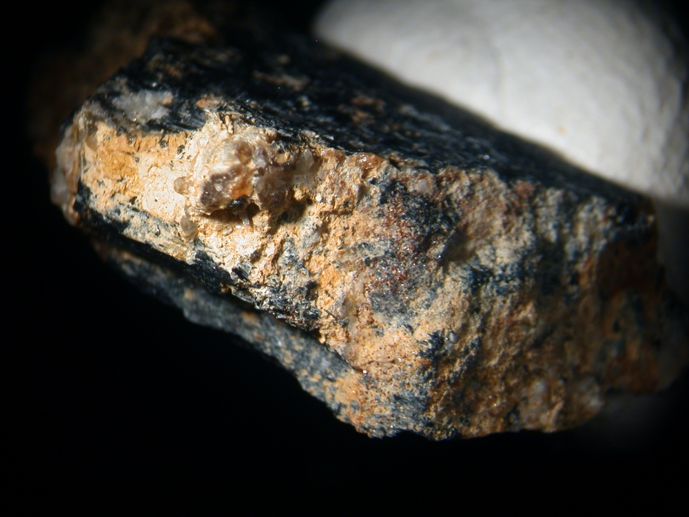 Aspedamite