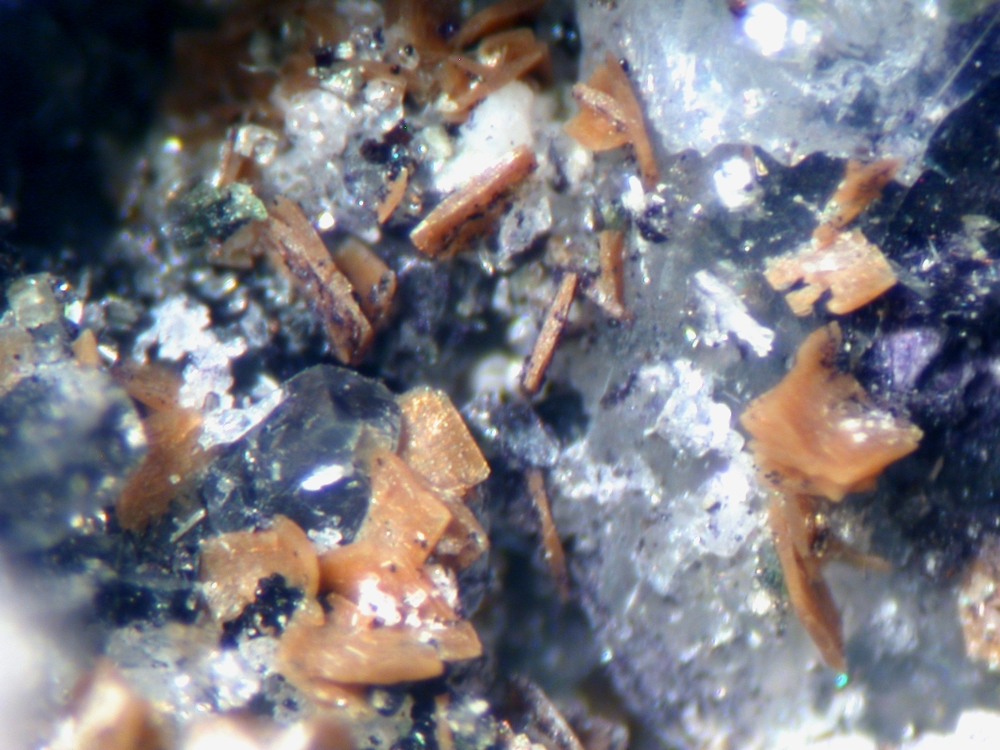 Turkestanite & Gonnardite
