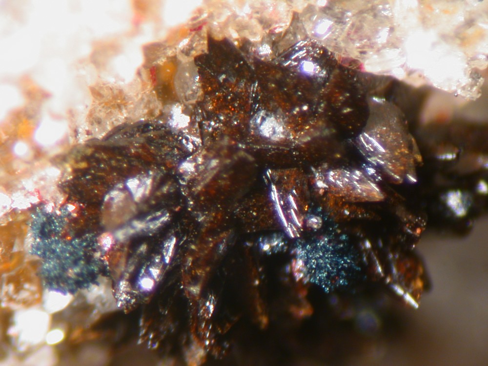 Perloffite Native Copper & Cuprite